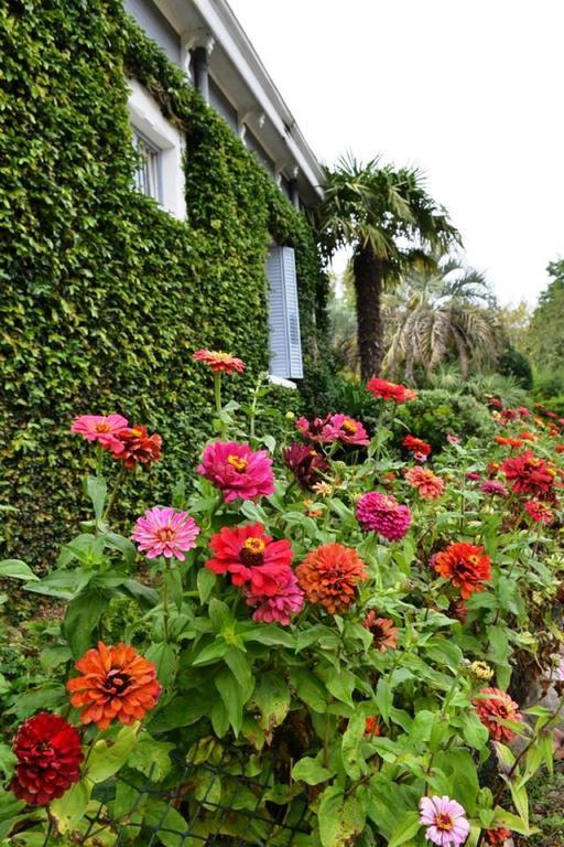 Hotel Alihuen Sierra de la Ventana Ngoại thất bức ảnh