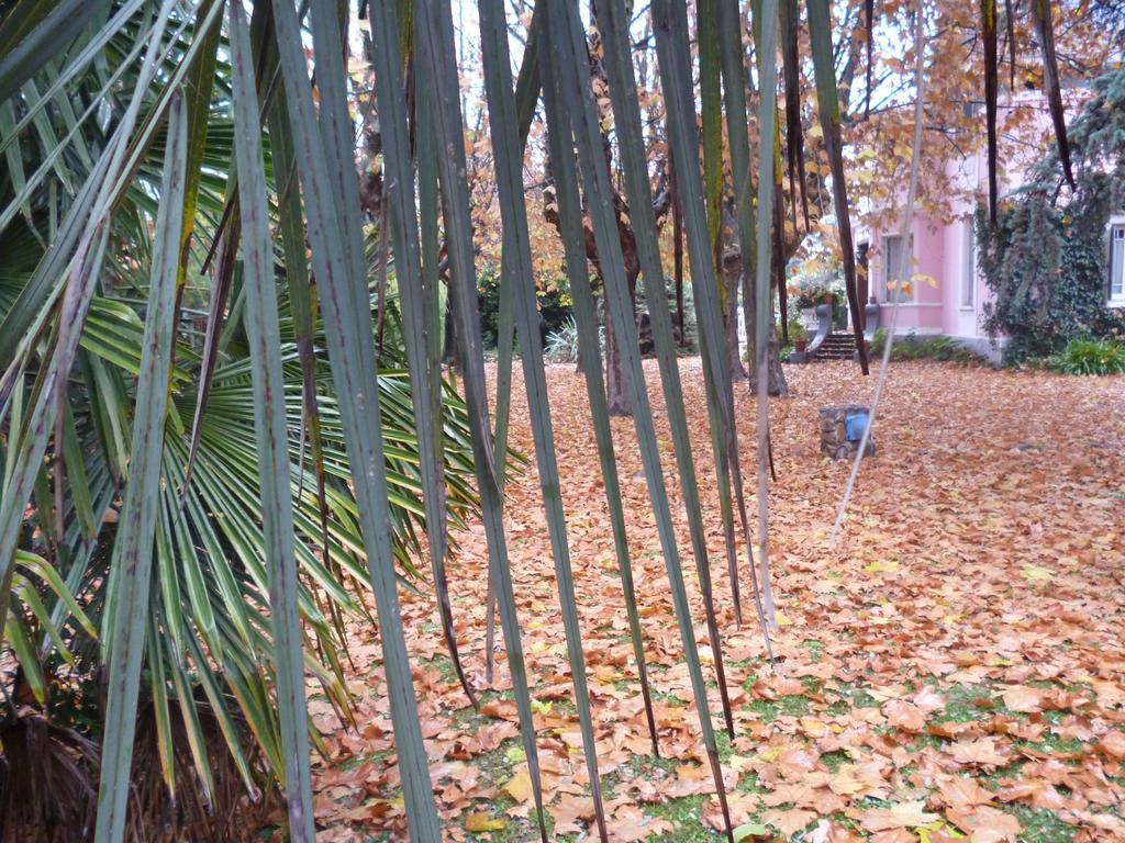 Hotel Alihuen Sierra de la Ventana Ngoại thất bức ảnh